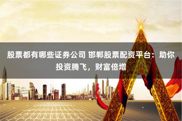 股票都有哪些證券公司 邯鄲股票配資平臺：助你投資騰飛，財富倍增