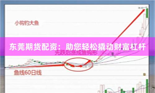 東莞期貨配資：助您輕松撬動財富杠桿